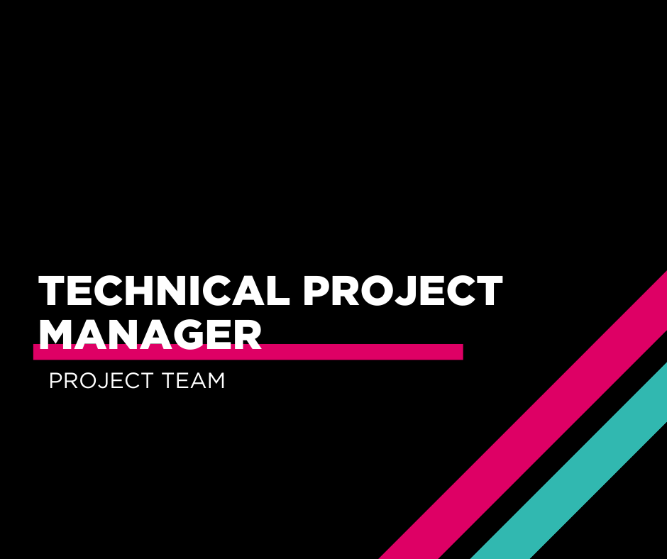 TECHNICAL PROJECT MANAGER